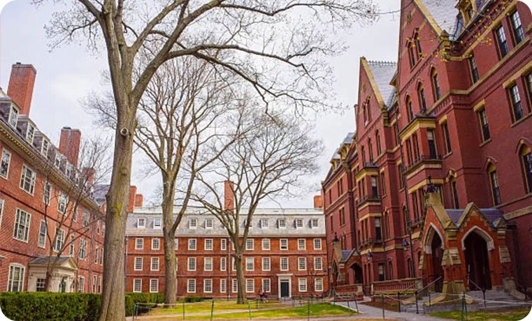 哈佛大学